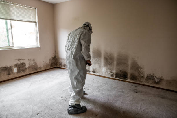 Mold Remediation for Vacation Homes in Eagle Lake, TX