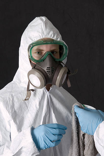 Reliable Eagle Lake, TX Mold Removal Solutions